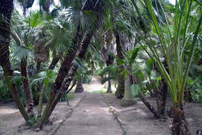 Orto Botanico di Cagliari - Sardinia - 3917