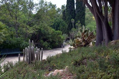 Orto Botanico di Cagliari - Sardinia - 3967