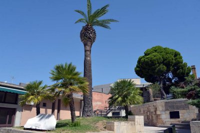 Citadella dei Musei, Castello, Cagliari, Sardinia - 4141