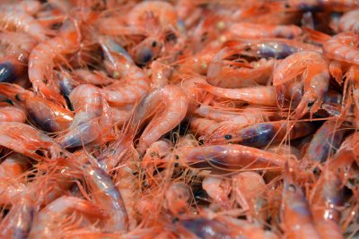 San Benedetto Market - Cagliari - Sardinia - 4730