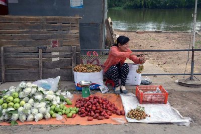 Dua Do (Red Coconut) Market, Nhi Long village, Tr Vinh - 6589