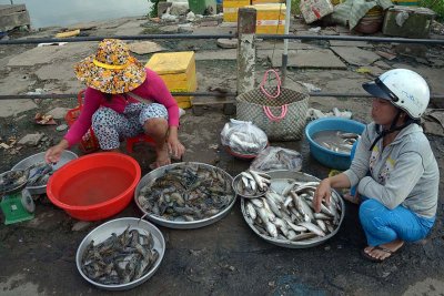 Dua Do (Red Coconut) Market, Nhi Long village, Tr Vinh - 6620w.jpg