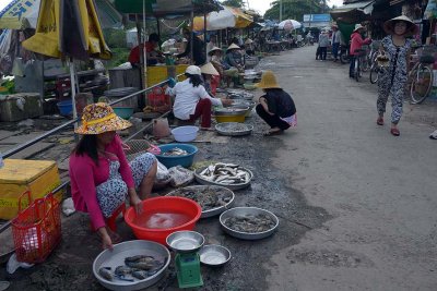 Dua Do (Red Coconut) Market, Nhi Long village, Tr Vinh - 6631