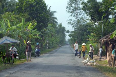 On the road between Tr Vinh and Vinh Long - 6901