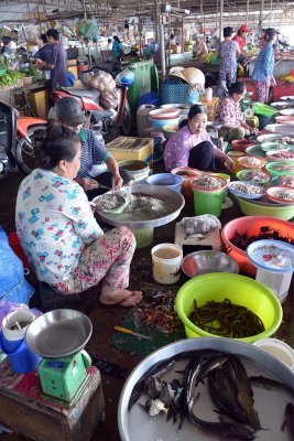 An Binh Market - Cn Tho - 8016