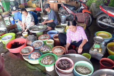 An Binh Market - Cn Tho - 8022