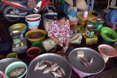 An Binh Market - Cn Tho - 8025