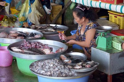 An Binh Market - Cn Tho - 8073