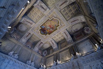 Sala del Senato - Palazzo Madama, Turin - 0558