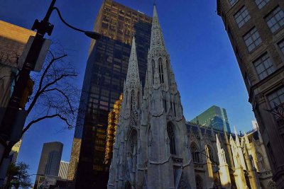 St Patrick's Cathedral - 8331