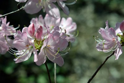 DSC_1498w.jpg