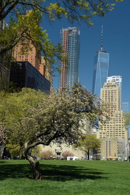 Battery Park - 8480