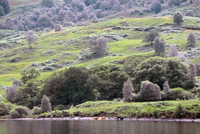 Loch Katrine - 4899