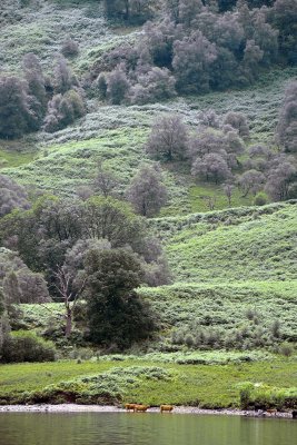 Loch Katrine - 4905