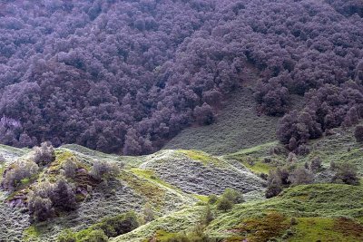 Loch Katrine - 4974