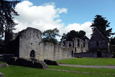 Inchmahome Priory, Lake of Menteith - 5313