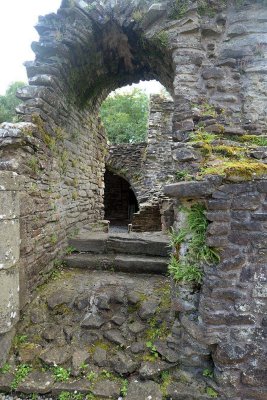 Inchmahome Priory, Lake of Menteith - 5329