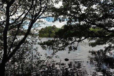 Inchmahome - Lake of Menteith - 5354