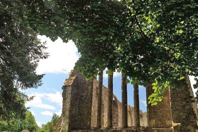 Inchmahome Priory, Lake of Menteith 5391