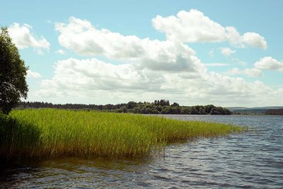 Lake of Menteith - 5428