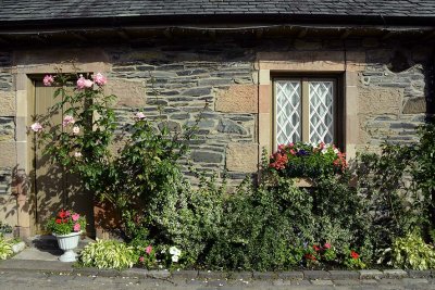 Gallery: Scotland - Loch Lomond and the Trossachs - Luss