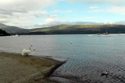 Luss, Loch Lomond - 5577