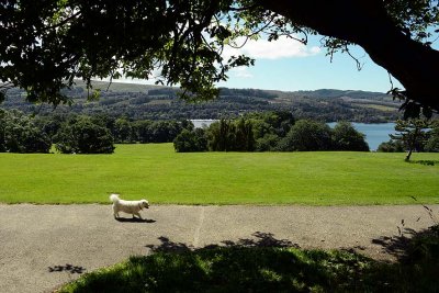 Balloch Castle Country Park, Loch Lomond - 5444