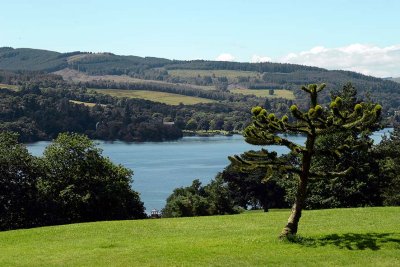 Balloch Castle Country Park, Loch Lomond - 5448