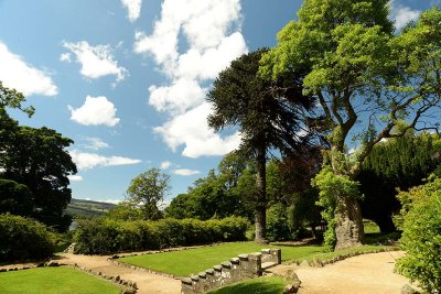 Balloch Castle Country Park, Loch Lomond - 5459