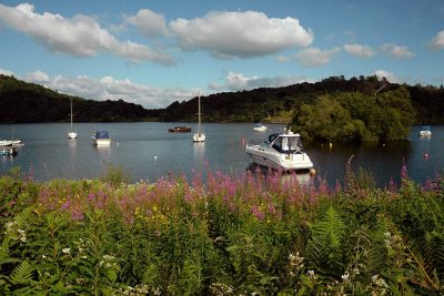 Aldochlay, Loch Lomond - 5514