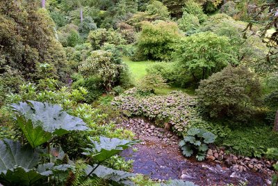 Crarae Garden, Inveraray - 5801
