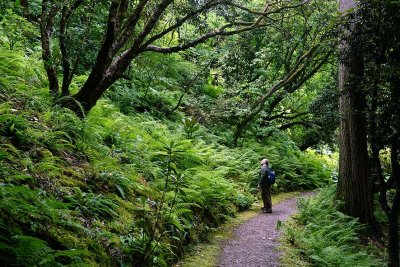 Crarae Garden, Inveraray - 5808