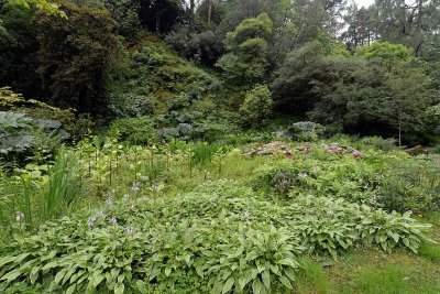 Crarae Garden, Inveraray - 5827