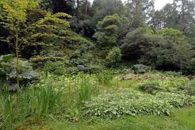 Crarae Garden, Inveraray - 5829