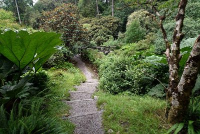 Crarae Garden, Inveraray - 5834