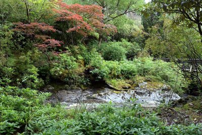 Crarae Garden, Inveraray - 5861