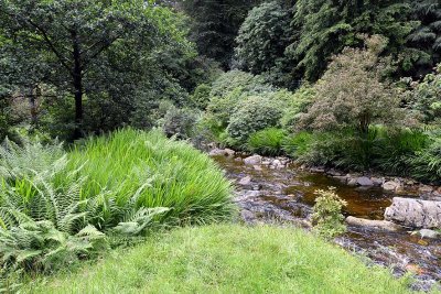 Crarae Garden, Inveraray - 5879