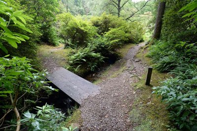Crarae Garden, Inveraray - 5886