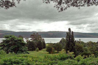 Loch Fyne seen from Crarae Garden, Inveraray - 5928