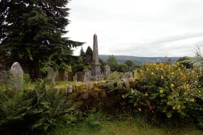 Crarae Garden, Inveraray - 5975