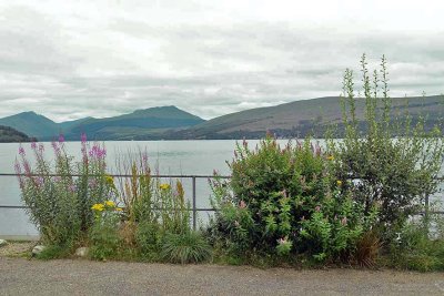Inveraray, Loch Fyne - 6044