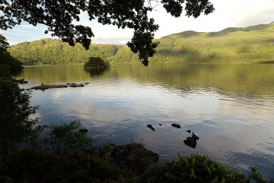 Inveruglas, Loch Lomond - 6246