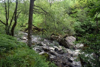 Gallery: Scotland - Falls of Falloch and Falls of Dochart