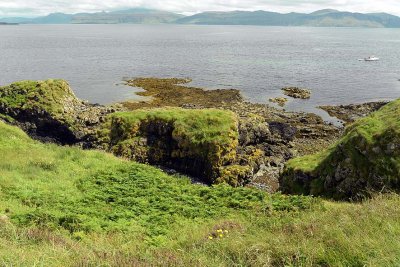 Isle of Staffa - 7016