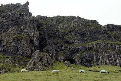 Quiraing, Isle of Skye - 8228