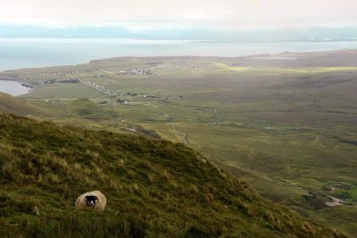 Quiraing, Isle of Skye - 8429