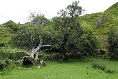Fairy Glen, Isle of Skye - 8528