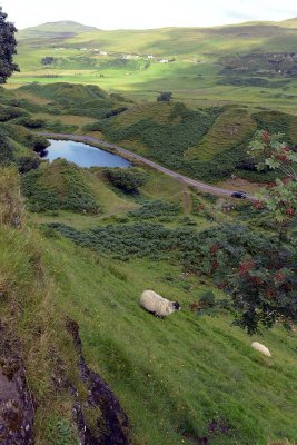 Fairy Glen, Isle of Skye - 8628
