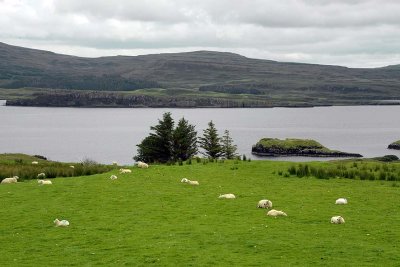 Isle of Skye - 8700