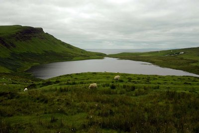 Isle of Skye - 8716